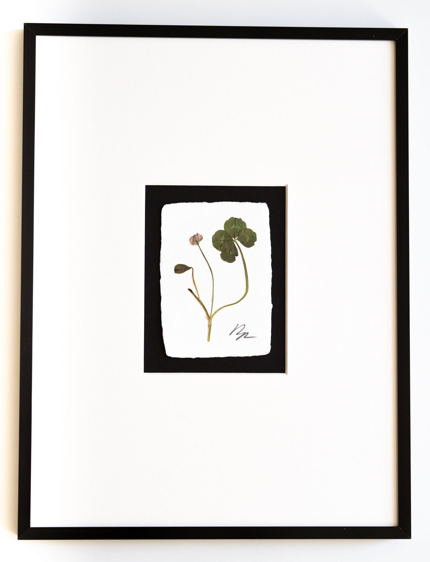 FOUND + FORAGED + FRAMED 4LEAF CLOVER- IVORY