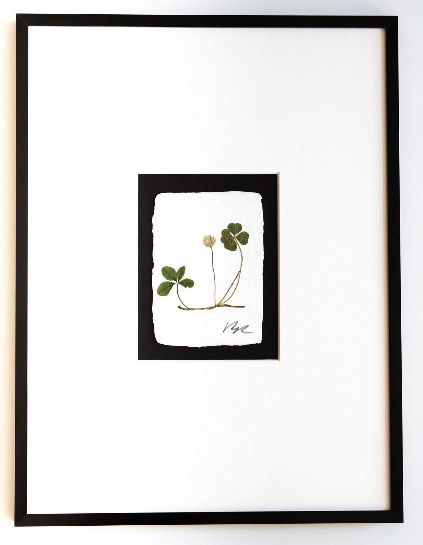 FOUND + FORAGED + FRAMED 4LEAF CLOVER- IVORY