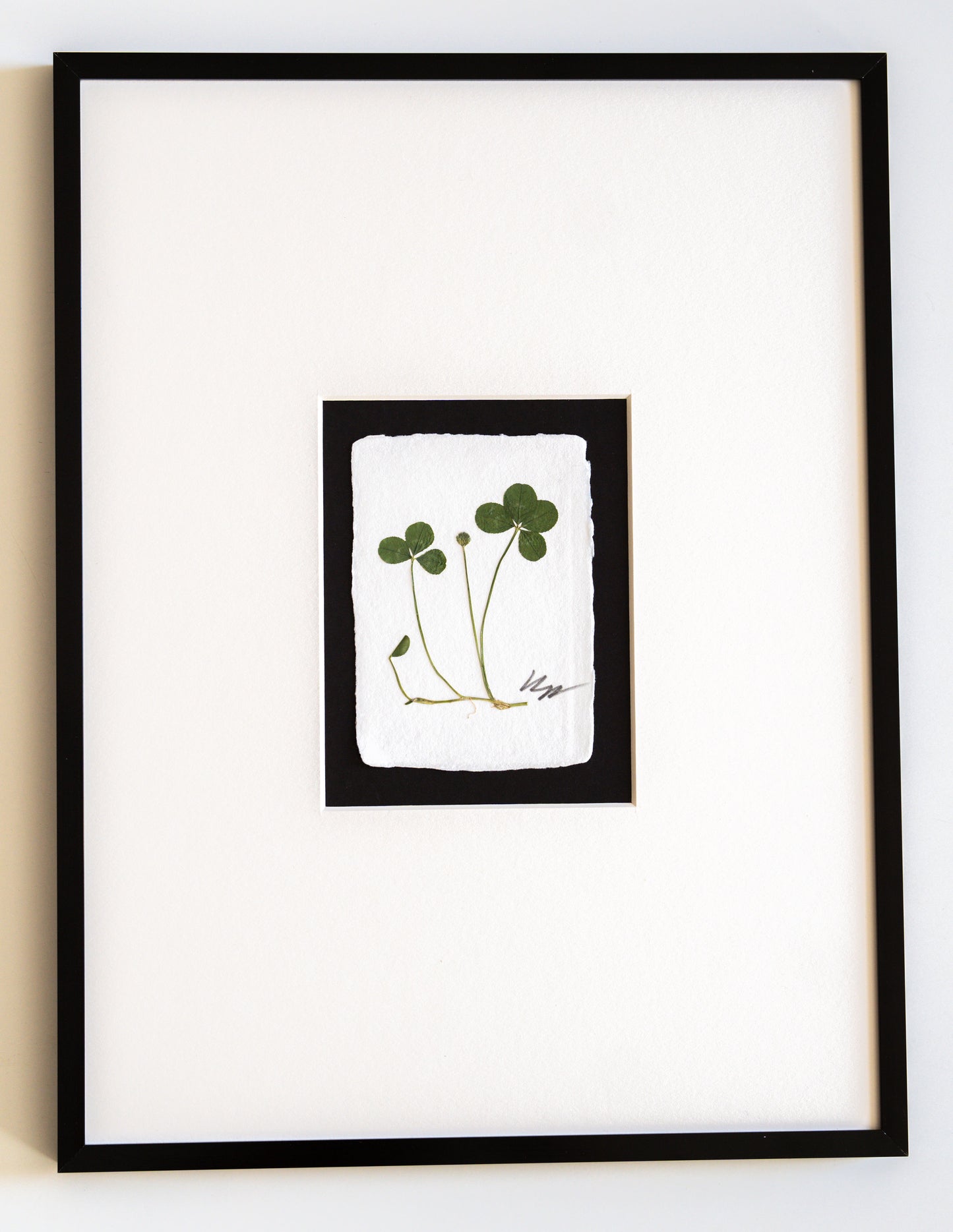 FOUND + FORAGED + FRAMED 4LEAF CLOVER- IVORY