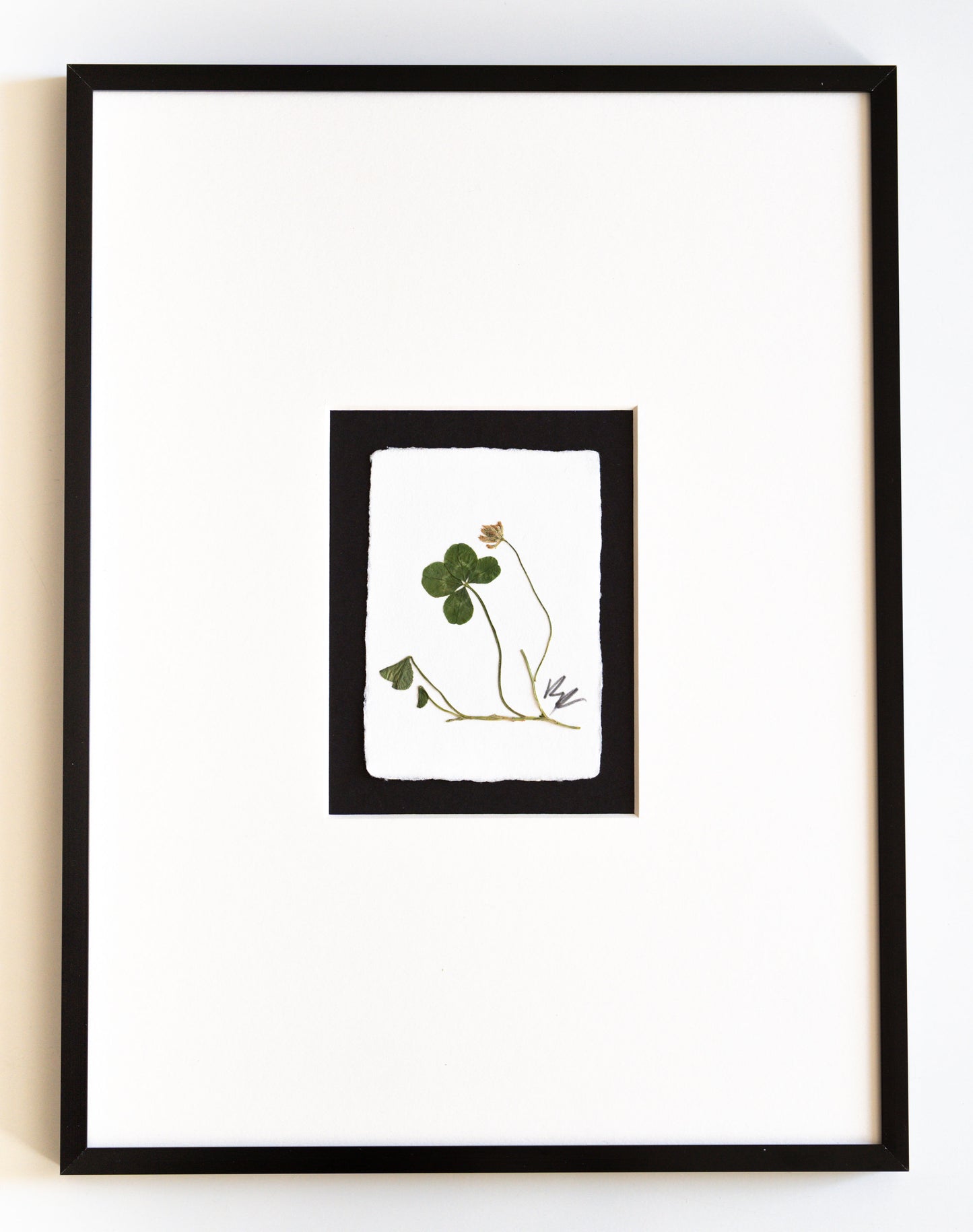 FOUND + FORAGED + FRAMED 4LEAF CLOVER- IVORY