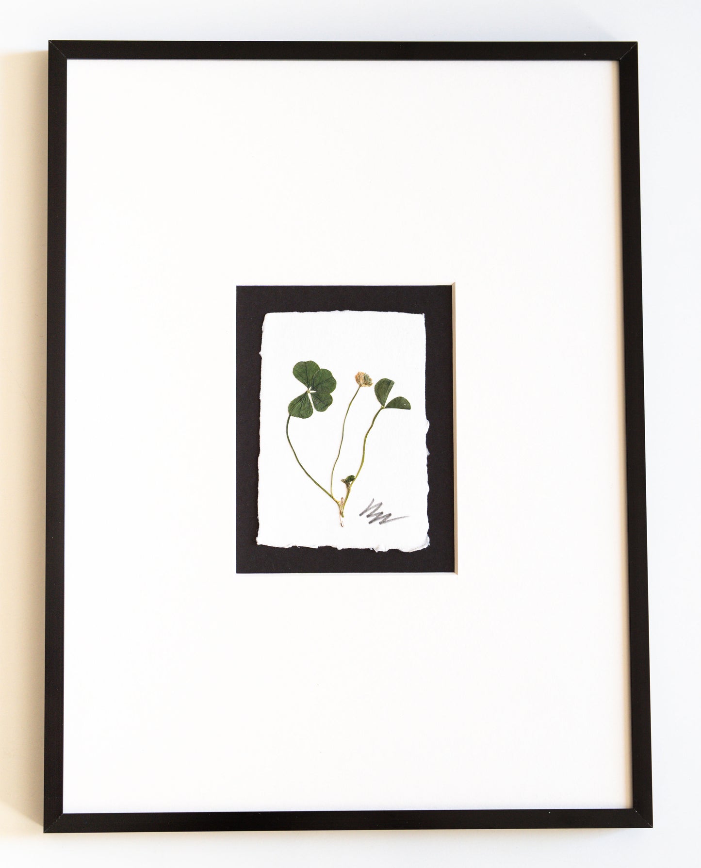 FOUND + FORAGED + FRAMED 4LEAF CLOVER- IVORY