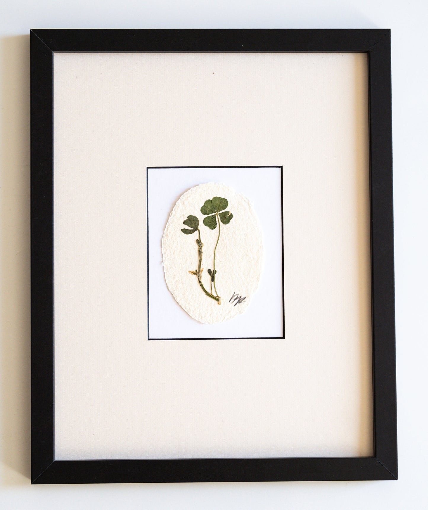 FOUND + FORAGED + FRAMED 4LEAF CLOVER- IVORY