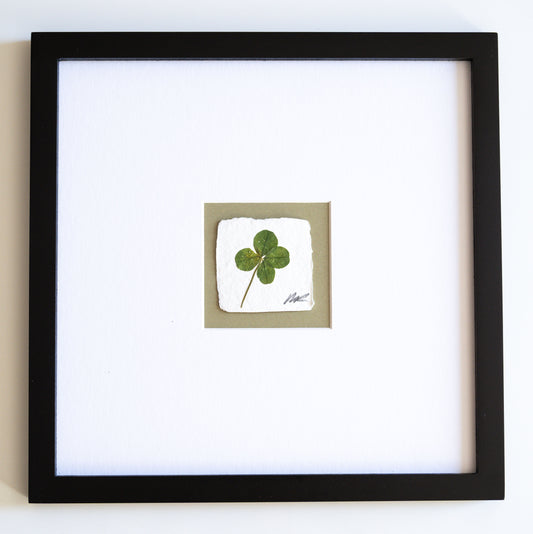 FOUND + FORAGED + FRAMED 4LEAF CLOVER- WHITE