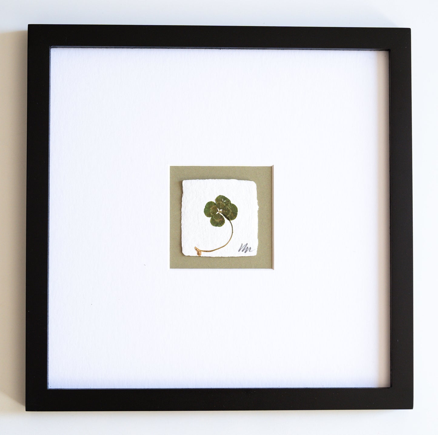 FOUND + FORAGED + FRAMED 4LEAF CLOVER- WHITE